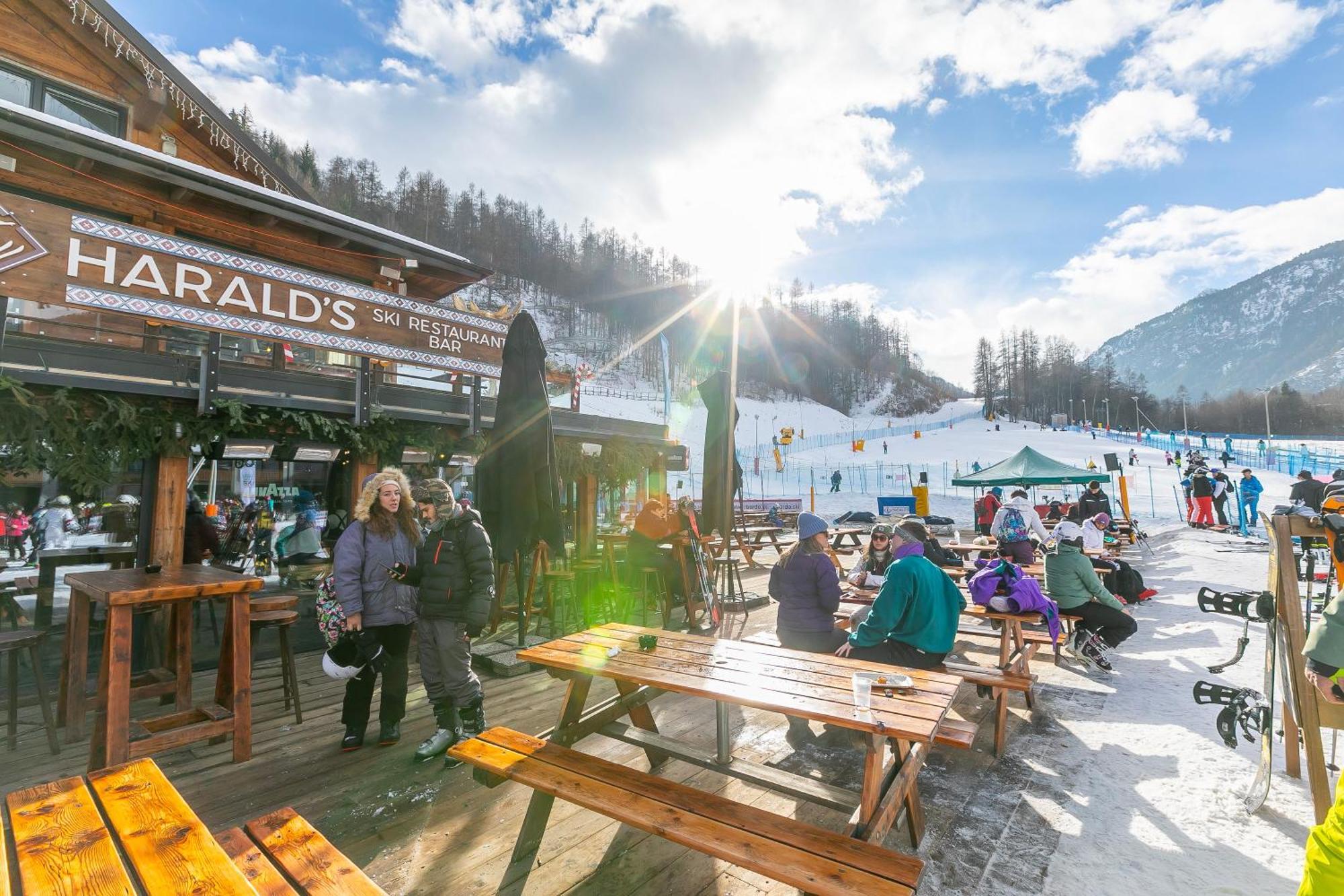 Il Nido Nella Pineta - Happy Rentals Bardonecchia Buitenkant foto